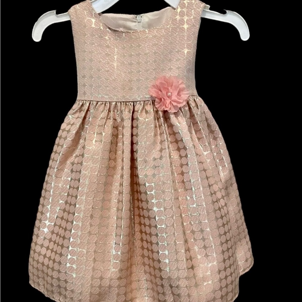Katie M Dress Girls Size 2T Blush